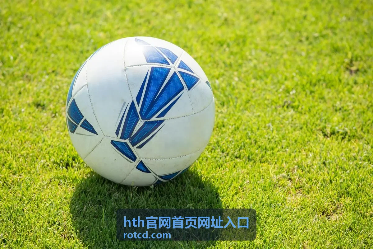 hth官网首页网址入口 片库条目：夜色航线 都市悬疑